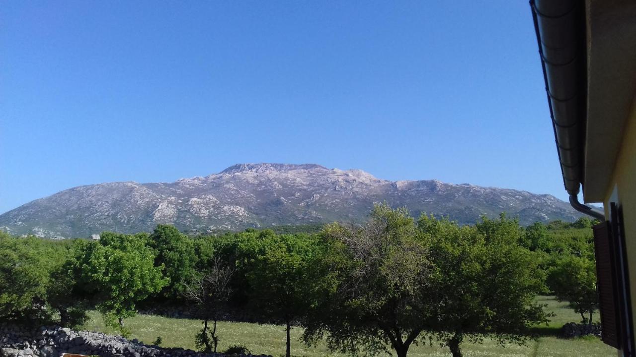 Dolovi Camping *